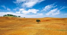 Haga click para ver la imagen ampliada alentejo portugal.jpg